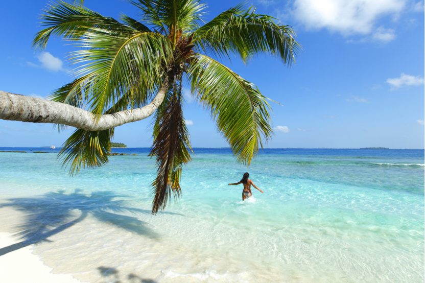 1760087777611984.gif image.gif